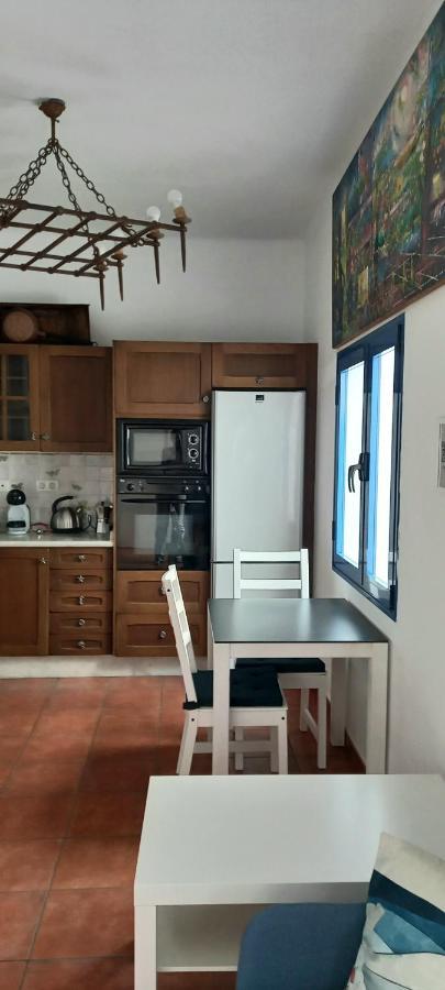 Casa Pescado A La Sombra De Un Drago Daire Arrecife  Dış mekan fotoğraf