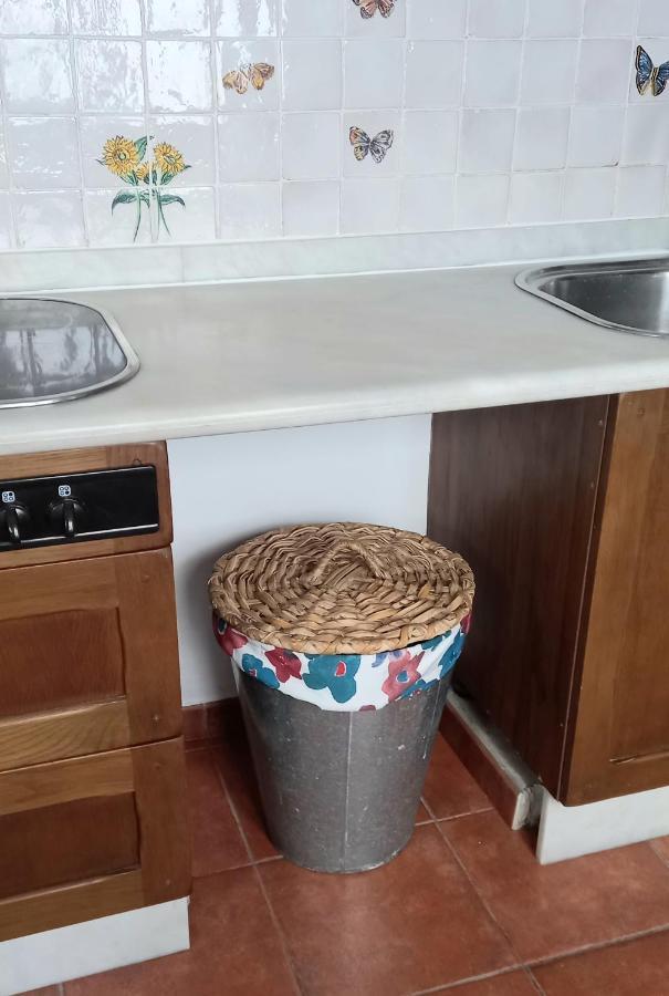Casa Pescado A La Sombra De Un Drago Daire Arrecife  Dış mekan fotoğraf